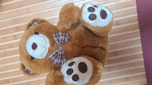 Teddybären Familie  Bild 2