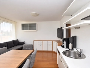 Hard: Helle 2-Zimmer-Wohnung mit großzügiger Sonnenterrasse Bild 3