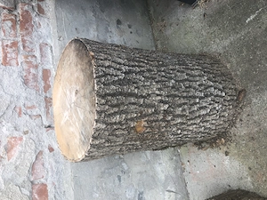 Scheitstock, Hackbock