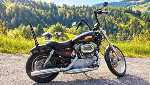 End-of-Season-Sale - Harley-Davidson Sportster 883   typisierter Umbau | Top-Zustand Bild 2