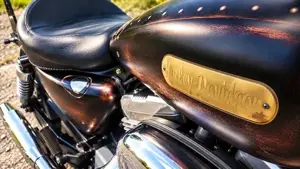 End-of-Season-Sale - Harley-Davidson Sportster 883   typisierter Umbau | Top-Zustand Bild 4