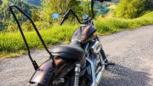 End-of-Season-Sale - Harley-Davidson Sportster 883   typisierter Umbau | Top-Zustand Bild 3