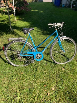 Fahrrad Vintage