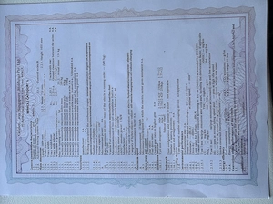 Elektroroller EFO Yuanja Bild 7