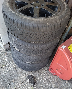 Renault Felgen 16 Zoll Bild 2