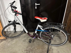 Englender Fahrrad mit niedrigen einstig  Bild 3