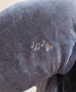 RECARO-Kinder-Autositz Bild 5