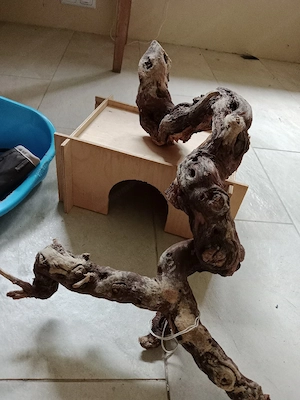 Zubehör Nagerhaltung (Ratten, Mäuse, Kaninchen, Hamster) Bild 2