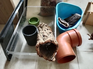 Zubehör Nagerhaltung (Ratten, Mäuse, Kaninchen, Hamster) Bild 3
