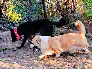 Minnie - NOTFALL Österreich Bild 8