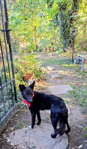 Minnie - NOTFALL Österreich Bild 2