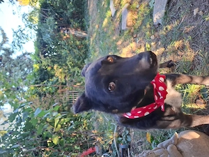 Minnie - NOTFALL Österreich Bild 4