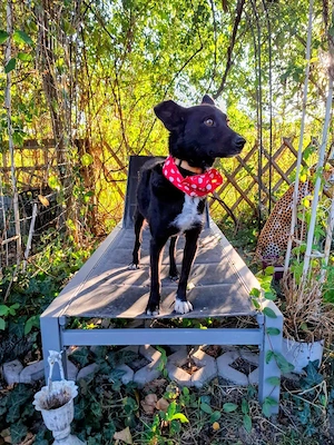 Minnie - NOTFALL Österreich Bild 6
