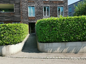 Schöne 2-Zimmer-Wohnung im Herzen von Dornbirn zu vermieten Bild 4