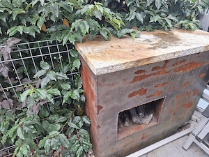 Gartenfeuer