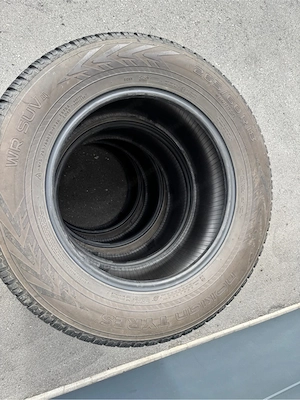 Winterreifen Nokian WR SUV4 265 60R18 114H Bild 4