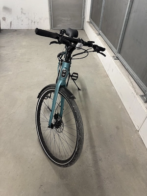 E-Bike Tenways CGO600pro Bild 2