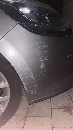 Renault Clio Zahnriemen neu  Bild 6