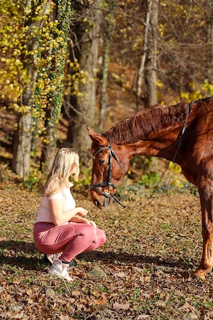 Reitbeteiligung Bild 4