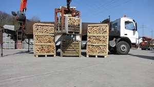 Trockenes Brennholz und von Qualität Bild 2