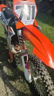 KTM SX 2024 Motocross Bild 2
