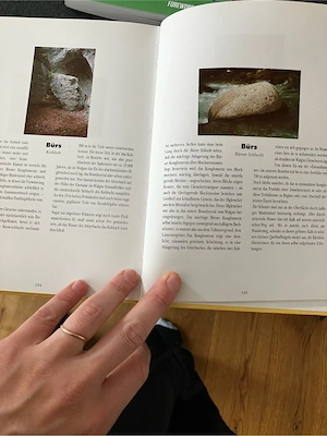 Vorarlberger Naturdenkmale Bild 2