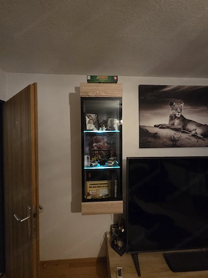 Wohnwand   Fernsehkasten Bild 3