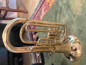 Zu Verkaufen Blasinstrument Bild 2