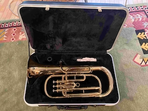 Zu Verkaufen Blasinstrument Bild 3