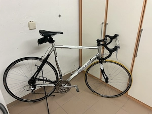Rennrad Bulls Sora RH 61 