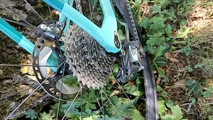 Rennrad Bianchi Oltre XR3 Bild 2