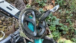Rennrad Bianchi Oltre XR3 Bild 3