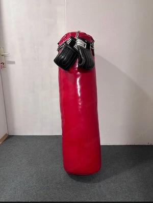 Studio Boxsack Goliat gefüllt inkl. Handschuhe Fighter 115x35 Bild 2