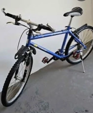 Fahrrad 26 zoll Bild 2