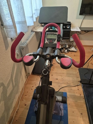 Kettler Indoor Bild 3