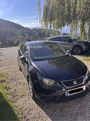 Seat Ibiza Bild 10