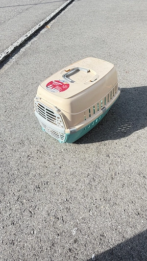 Katzen BOX Bild 2