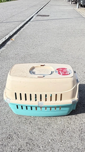 Katzen BOX Bild 3