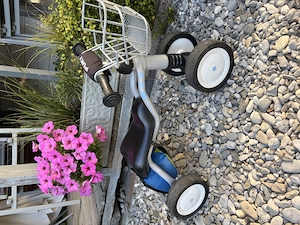 Puky Wutsch Bild 3