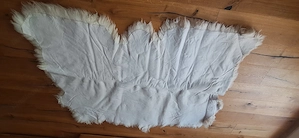 Schaffell 160 x 100 cm Bild 4
