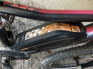 Cube e-bike mtb Bild 2