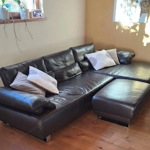 Echtledercouch (Erstbesitz)