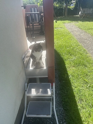Wohnen im Grünen - 3 Zi-Gartenwohnung  Bild 8