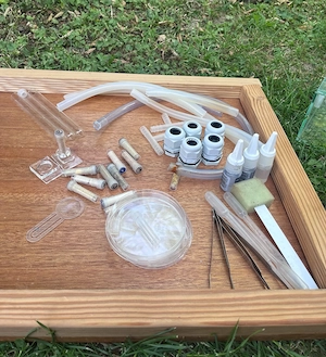 Formicarium Set aus Glas Bild 2