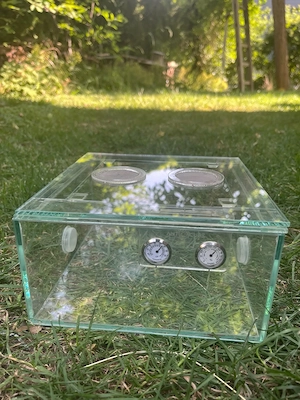 Formicarium Set aus Glas Bild 6