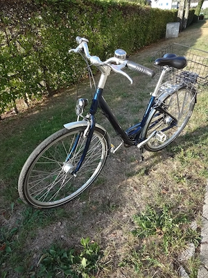Damenfahrrad Pro Cycle mit Standlicht [in Bregenz] Bild 5