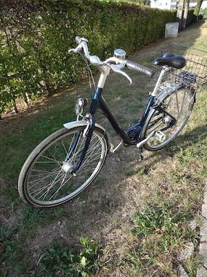 Damenfahrrad Pro Cycle mit Standlicht Bild 2