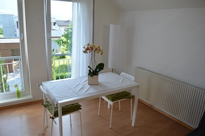 Vermiete sehr schöne und möblierte Wohnung, Nenzing Bild 4