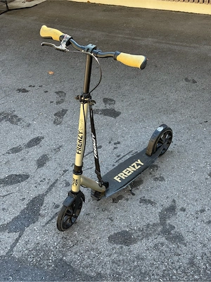 Frenzy-Scooter Bild 2