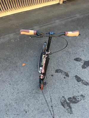 Frenzy-Scooter Bild 5